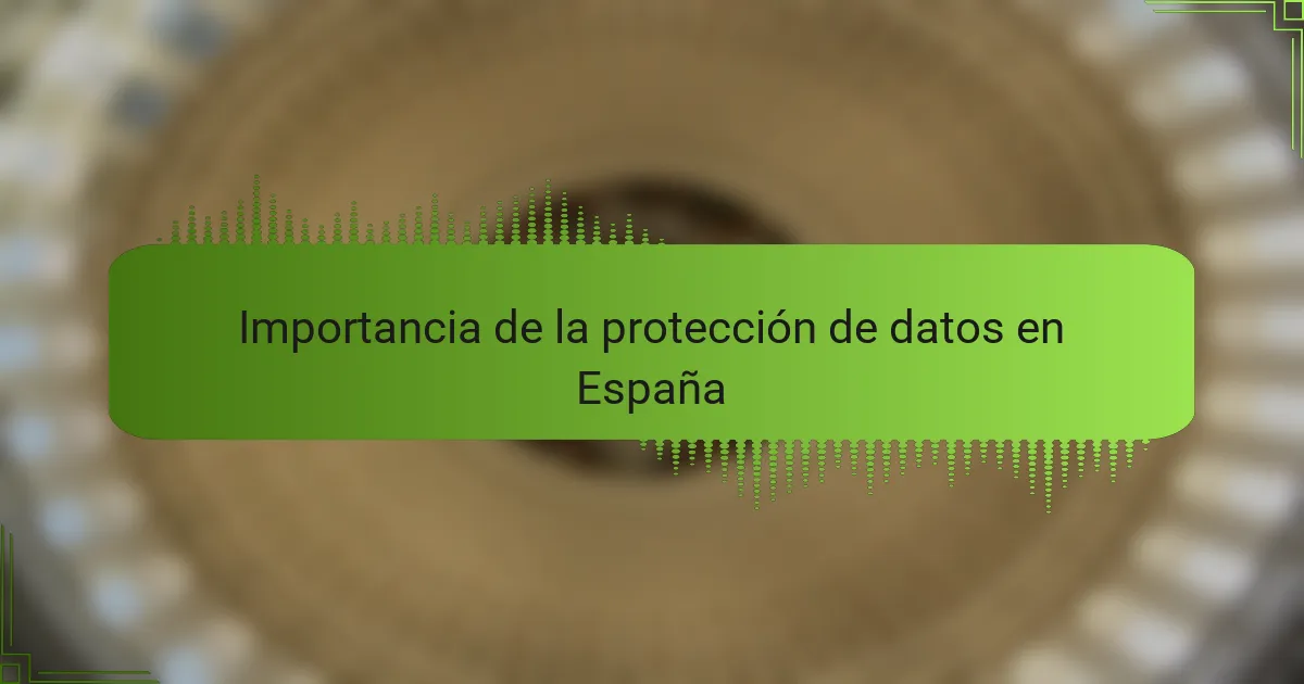 Importancia de la protección de datos en España